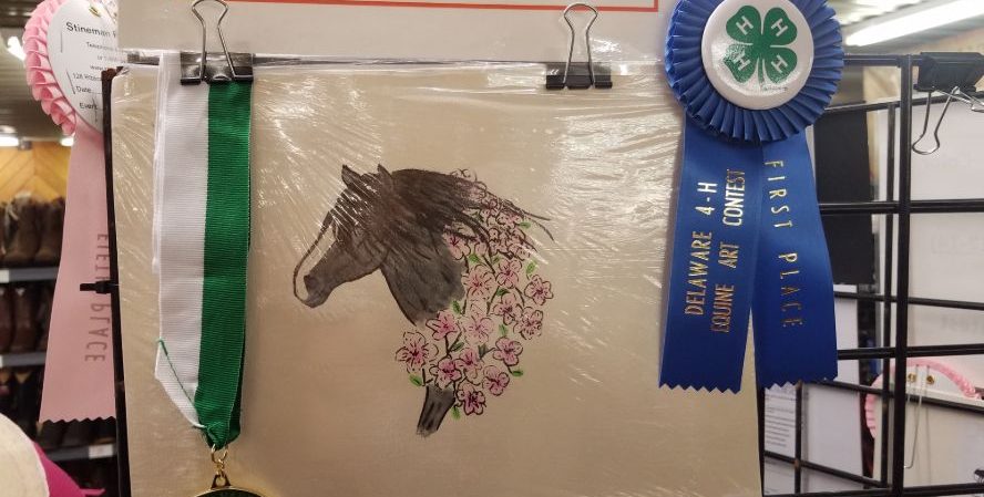 Best In Show Reserve Champion Award- -Daisy Timney- Age 13- Heavenly Hooves 4-H Club, New Castle County Realistic Painting