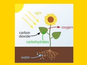 Solar (Sun) Engery