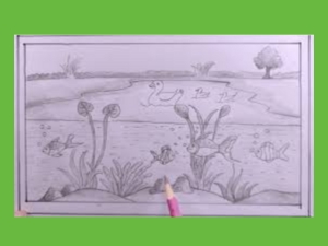 Ecosystems