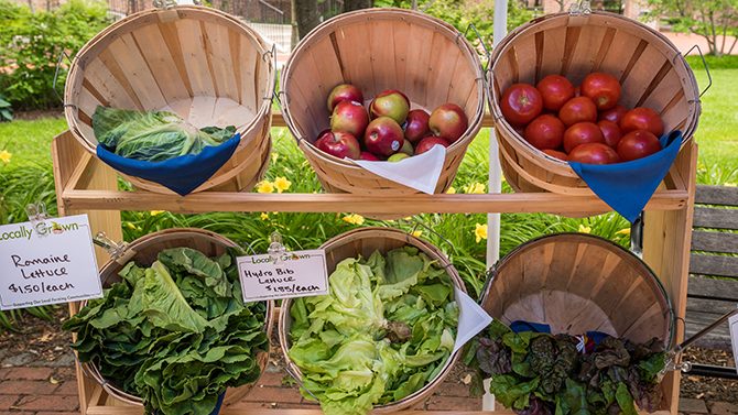 Farmer's Market - 2015