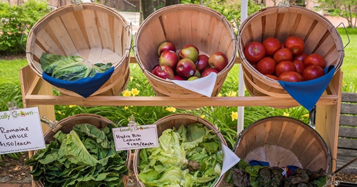 A variety of locally grown vegetables in baskets