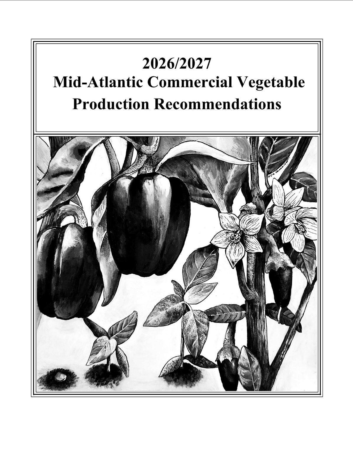 report cover
