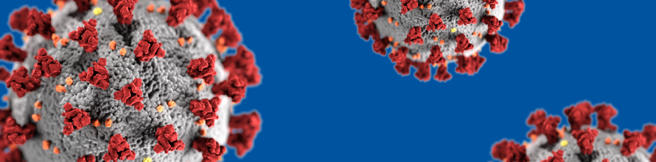 Coronavirus on a blue backdrop