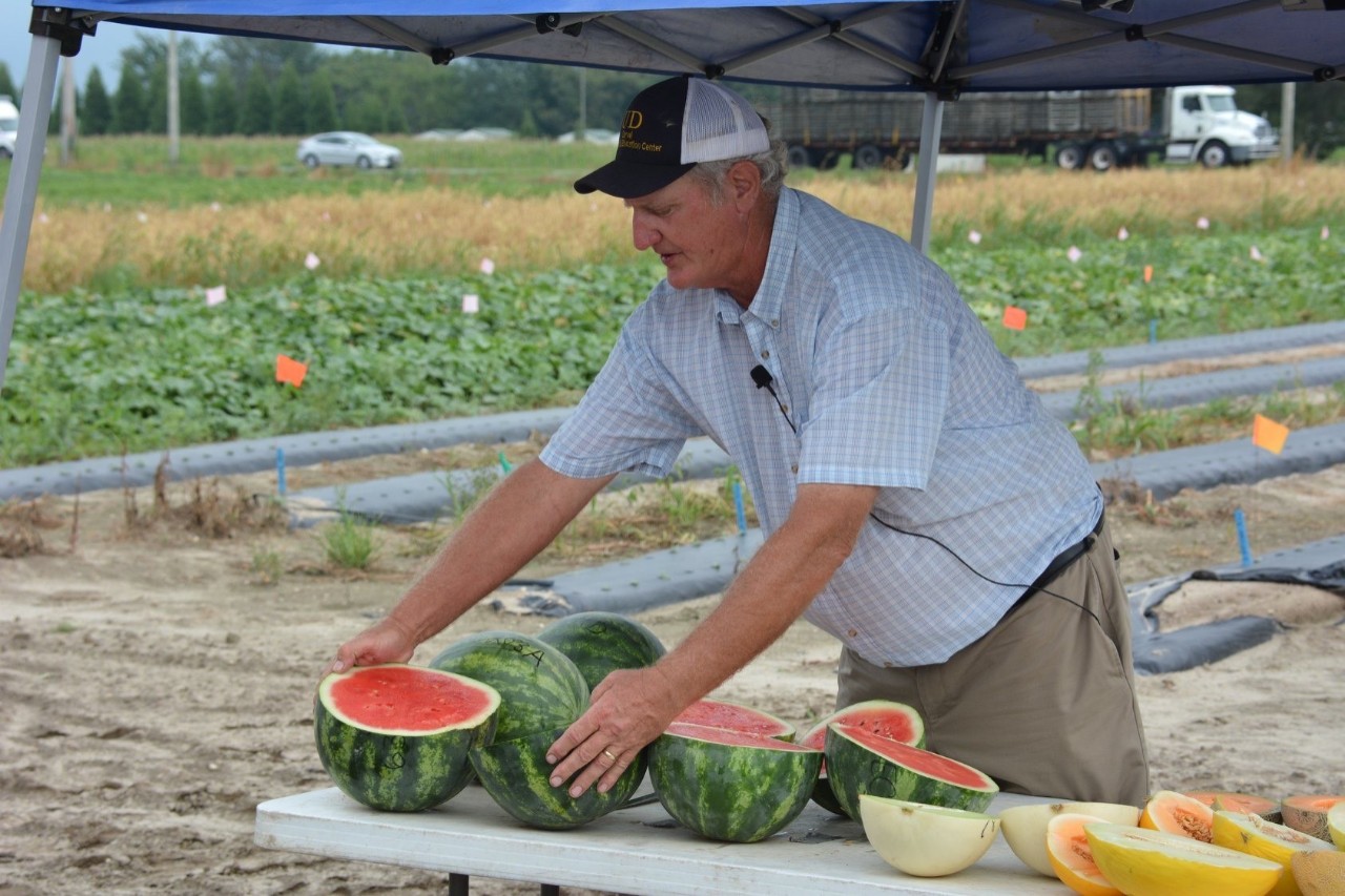 Gordon Johnson sets up a watermelon research station at a field tour
