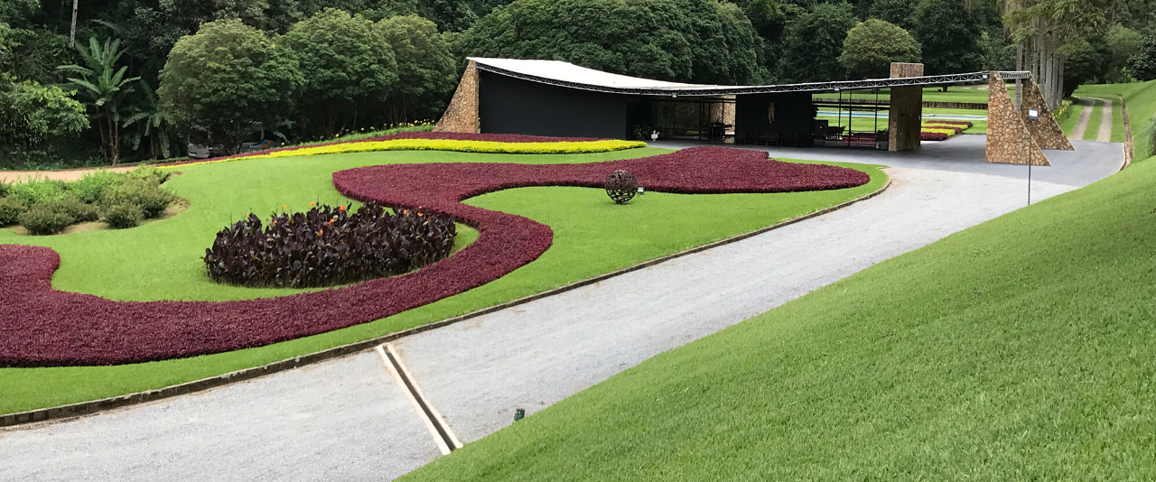 The Edmundo Cavanellas residence in Petrópolis, Brazil where native plants are laid out in swirls in the yard.