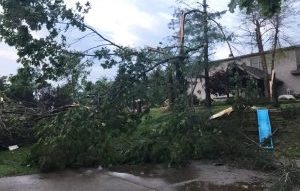 House with tree down due to storm damage Trees down after a storm