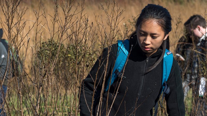 Student walking in a field.