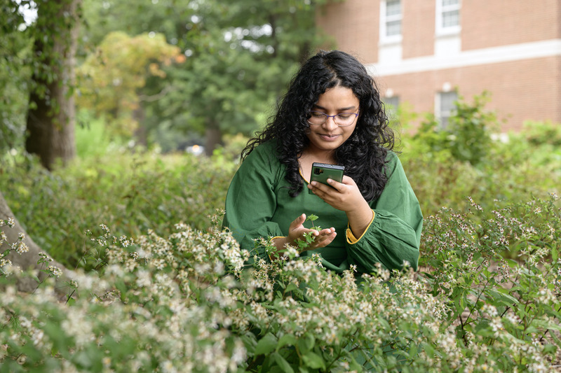 Aleena Sabir, a landscape architecture major, catalogs plants for her summer conducting undergraduate research on campus maintenance related to planting.