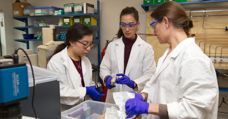 Dr. Amy Biddle researching with students in an animal science lab