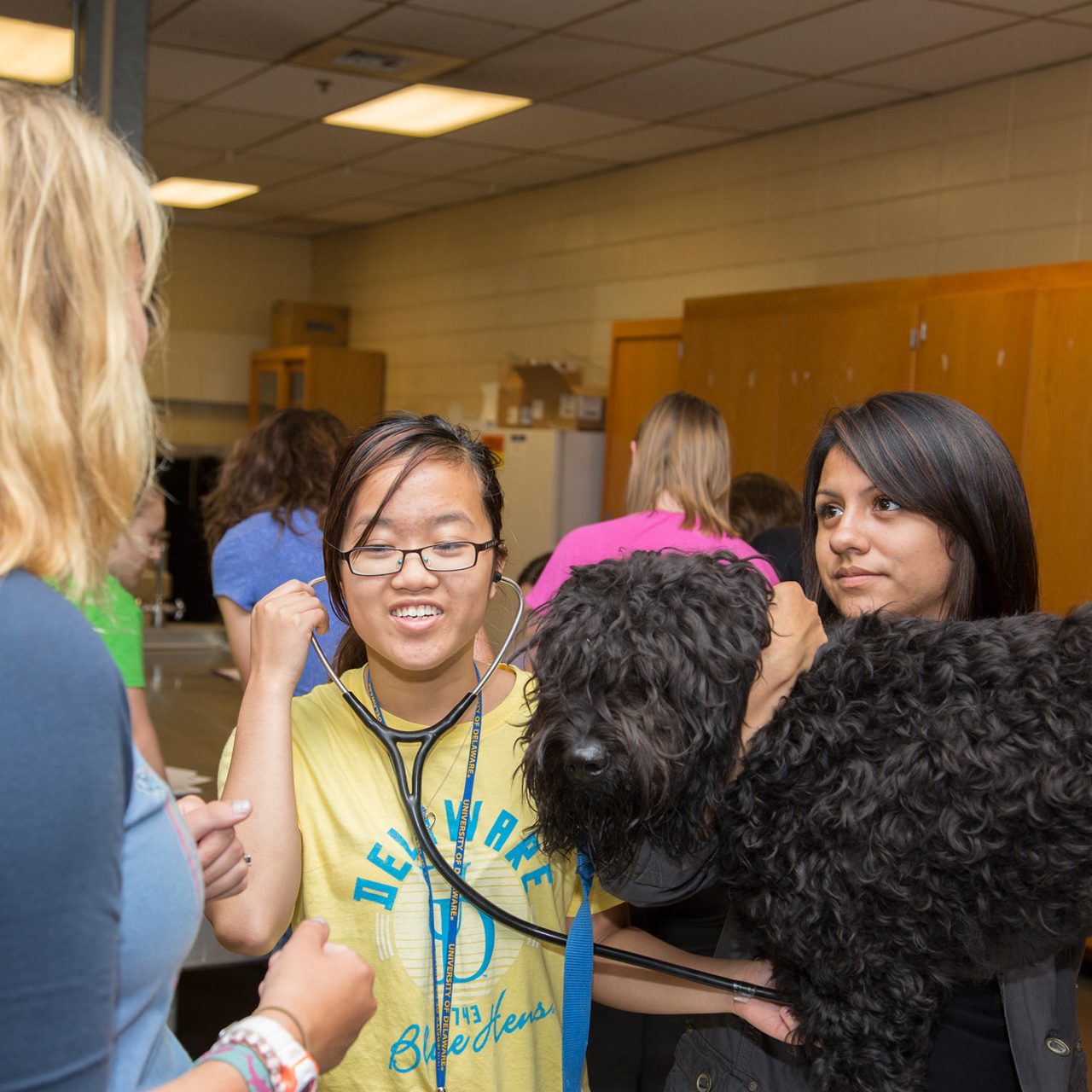 Yellow Shirt: Mari Berger, Holding Dog: Steph Olvera