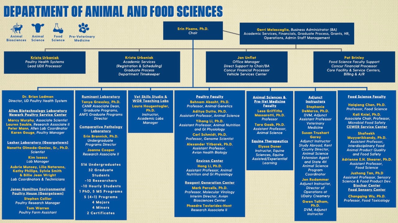 A complex organizational chart that places the statt members listed above in visual version of the heirarchy outlined on this webpage. The chart begins with Erin Pisano, Ph.D. (Chair) and Gerri Mascaglia (Business Admin), lists the various administrative roles, and then parses the program out in to Poultry, Labs, Vet Skills and four faculty groups by major.
