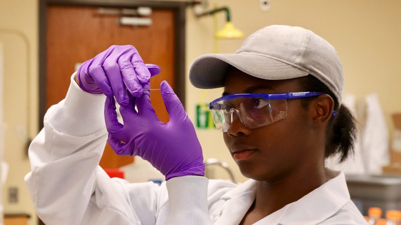 PhD student examines samples on the Department of Animal and Food Sciences