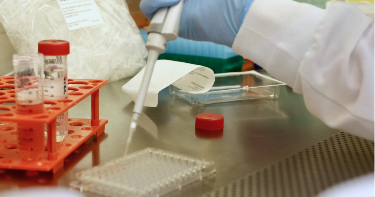 A laboratory scene where pipettes are being used in a lab about gut health and disease pathogenesis.