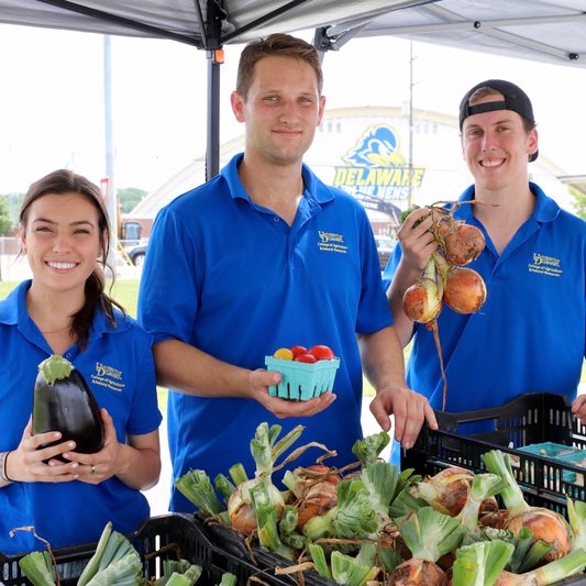 UD Fresh to you farm stand is open. Run by FABM interns; Ryan Bresnahan, Emily Doelp, Adam Taylor