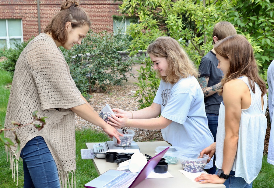 Student participate in an economic experiment using beans.