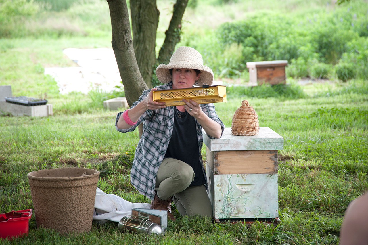 canr beehive demonstration:buzz on beekeeping at ud apiary. 