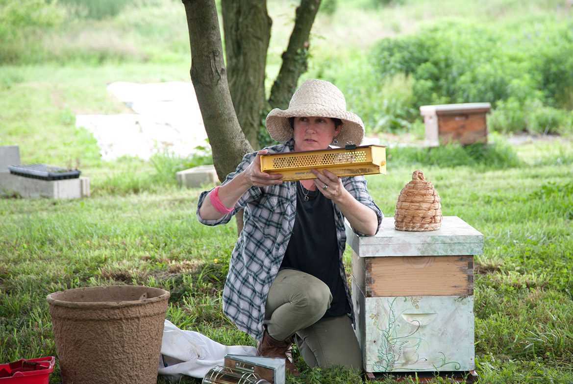 A photo of professor Deb Delaney working in the UD apiary.