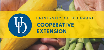 Video for: UDCANR Cooperative Extension pollinator playlist