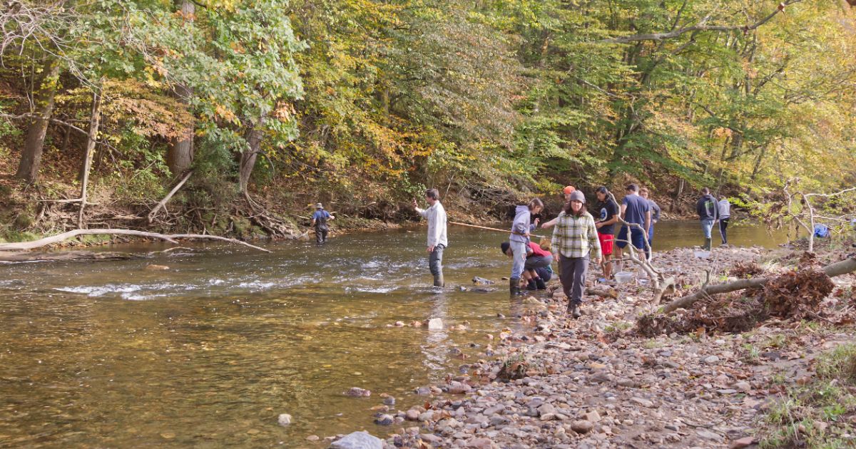 Students in Dr. Deb Delaney’s ENWC426 Aquatic Entomology class travel to White Clay Creek State Park to collect samples of aquatic bugs.