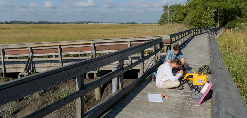 Rodrigo Vargas (blue patterned shirt), associate professor of plant and soil sciences, along with his graduate students Alma Vazquez Lule (gray striped shirt), César Hinojo-Hinojo (dark gray tee w/ jeans), Branimir Trifunovic (white, long-sleeve shirt), and visiting student Josep Barba conducting research in the forest and marsh of the St. Jones Reserve in Dover, DE. - (Evan Krape / University of Delaware)