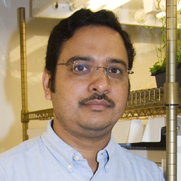 Photo headshot pf Associate Professor Harsh Bais