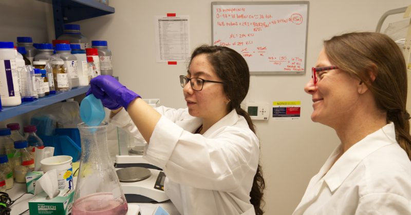 Animal science master’s student Gisselle Garcia uses the anaerobic chamber to inoculate serum vials for time course work.