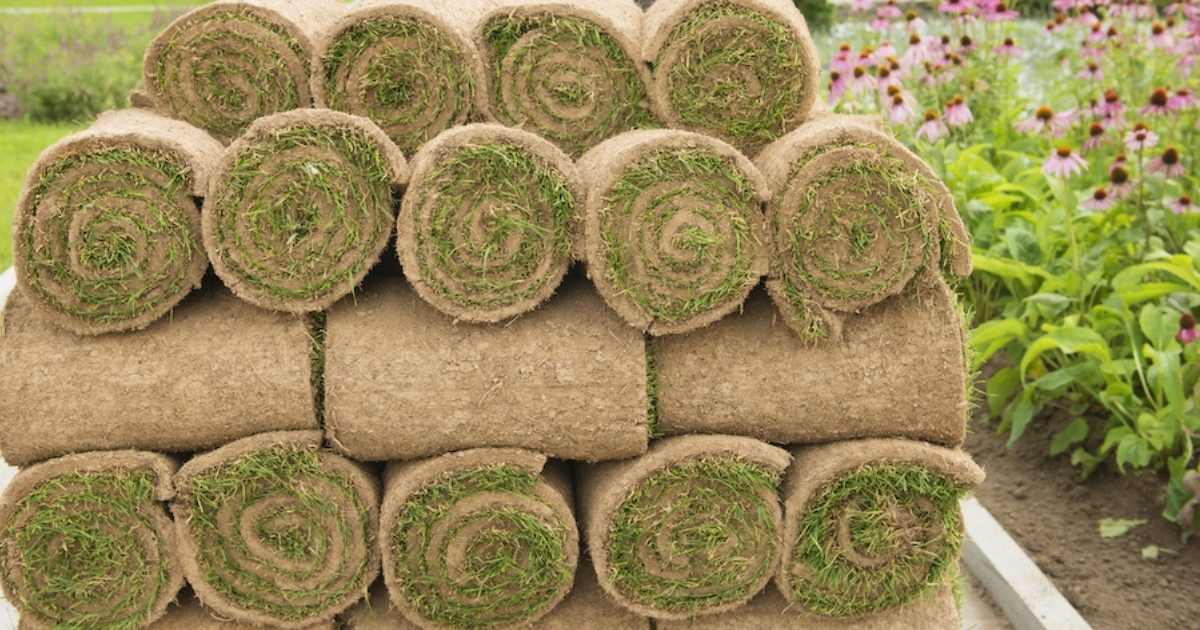 Copy of _website_properties_img_extension_1200x630 Turfgrass rolled up for delivery.