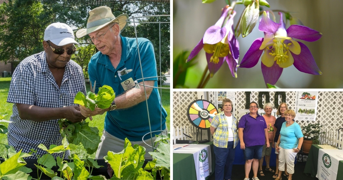 A compilation of Master Gardener activities through the years, from demonstration gardens to tabling at the State Fair.
