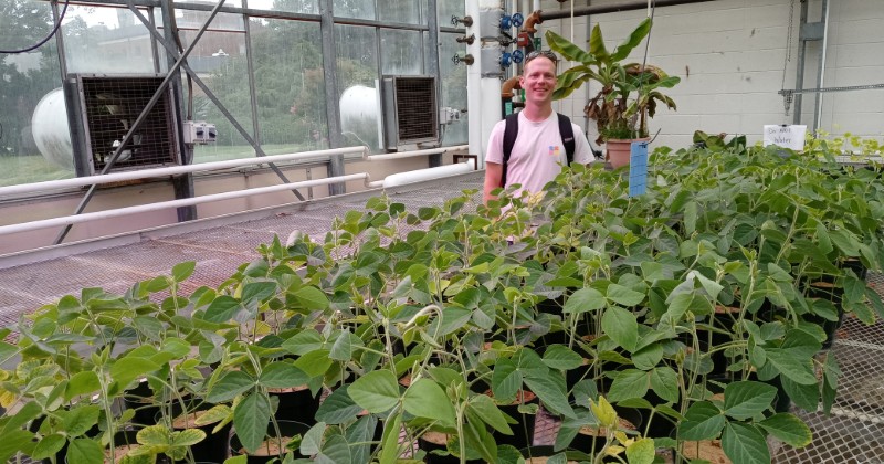 A photo of student Jake Gioffre, senior in the department of plant and soil sciences, standing with soybean plants in the Fischer Greenhouse.