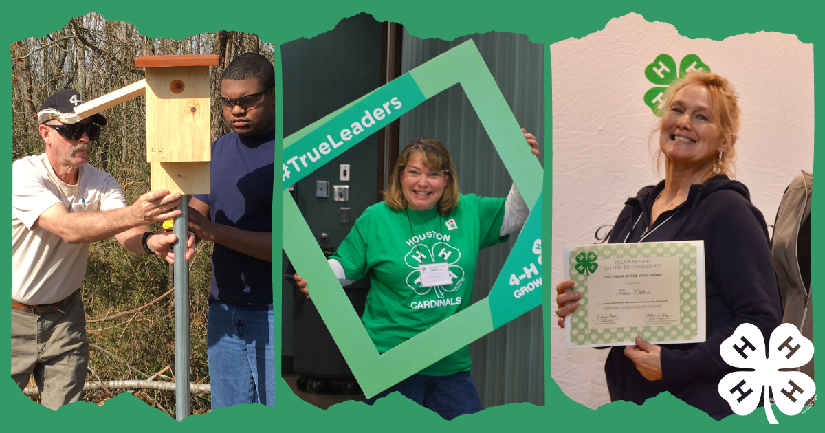 Copy of _website_properties_img_extension_1200x630 Compilation of 4-H volunteers through the years: assisting a member making a birdhouse, posing at the 2017 volunteer ceremony and accepting an award in 2019.