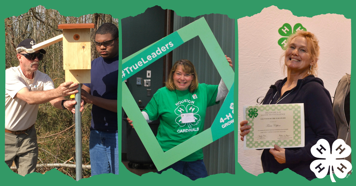 Compilation of 4-H volunteers through the years: assisting a member making a birdhouse, posing at the 2017 volunteer ceremony and accepting an award in 2019.