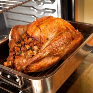 thanksgiving_turkey_extension_article_img