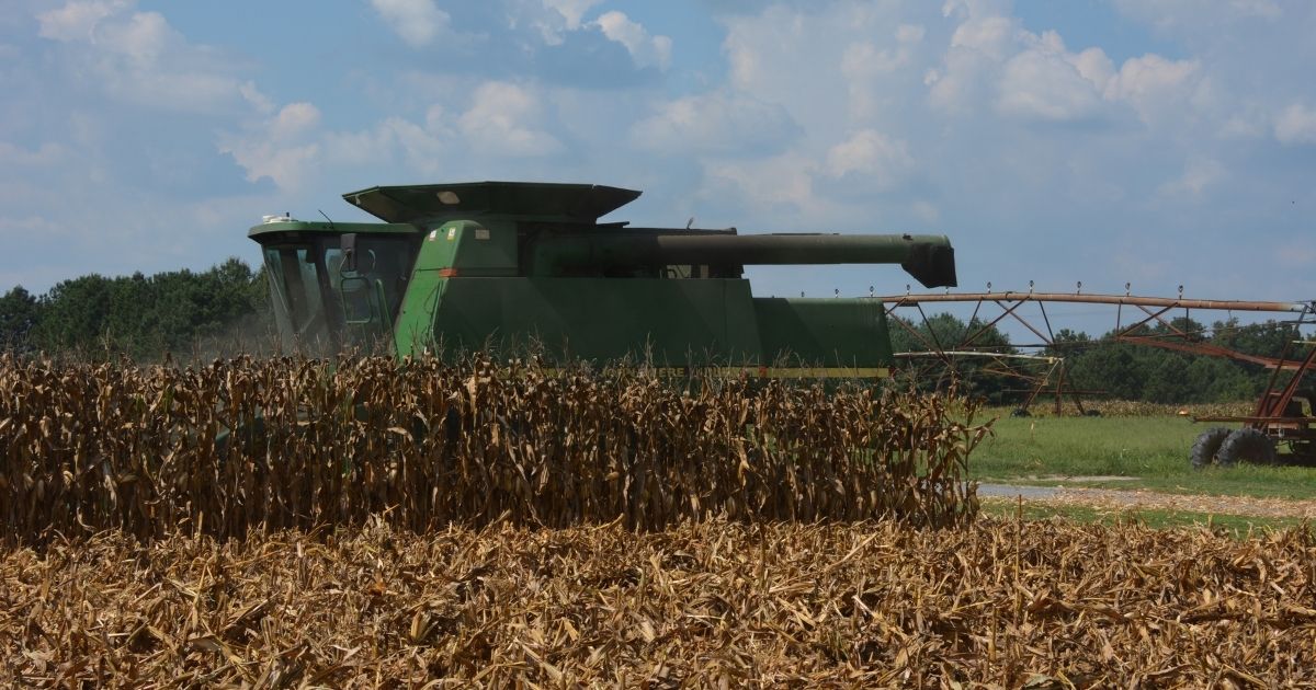corn_harvest_website_properties_img_extension_1200x630 Delaware corn harvest