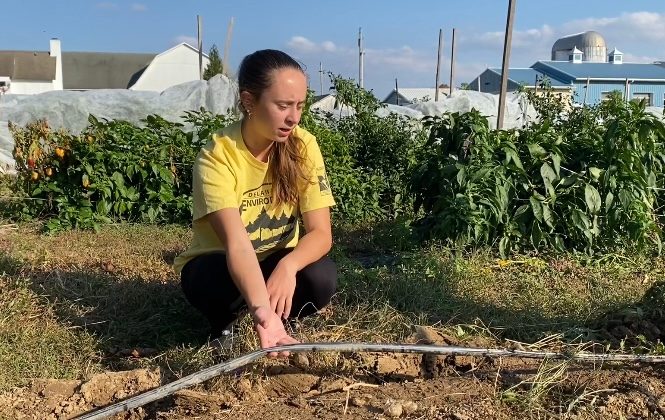 Maci Carter fixes a leak in a drip line irrigation.