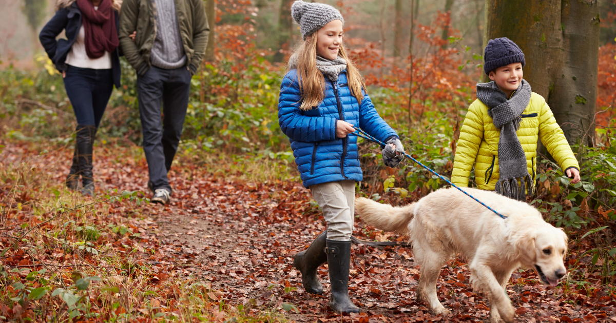 A family walking in the fall foliage.