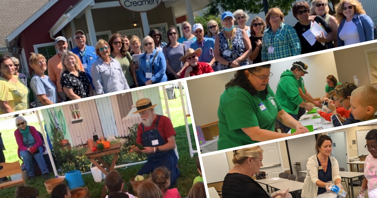 A collage of volunteers.