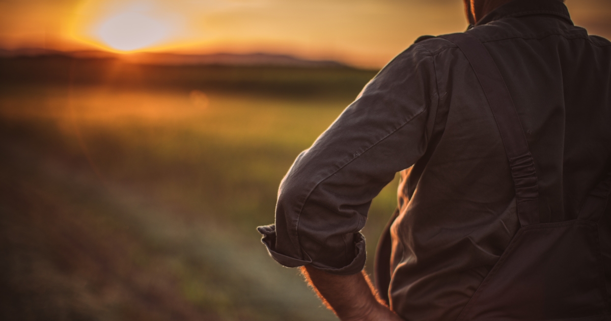 mending_our_fences_website_properties_img_extension_1200x630 - 1 A farmer looking out over a field