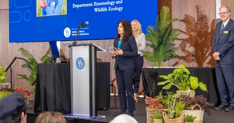 Ellen Lake presents at the podium in the University of Delaware Audion.