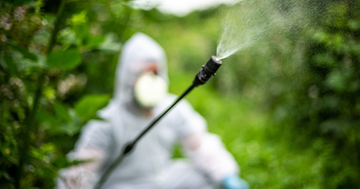 A pesticide applicator spraying in an orchard in full PPE.