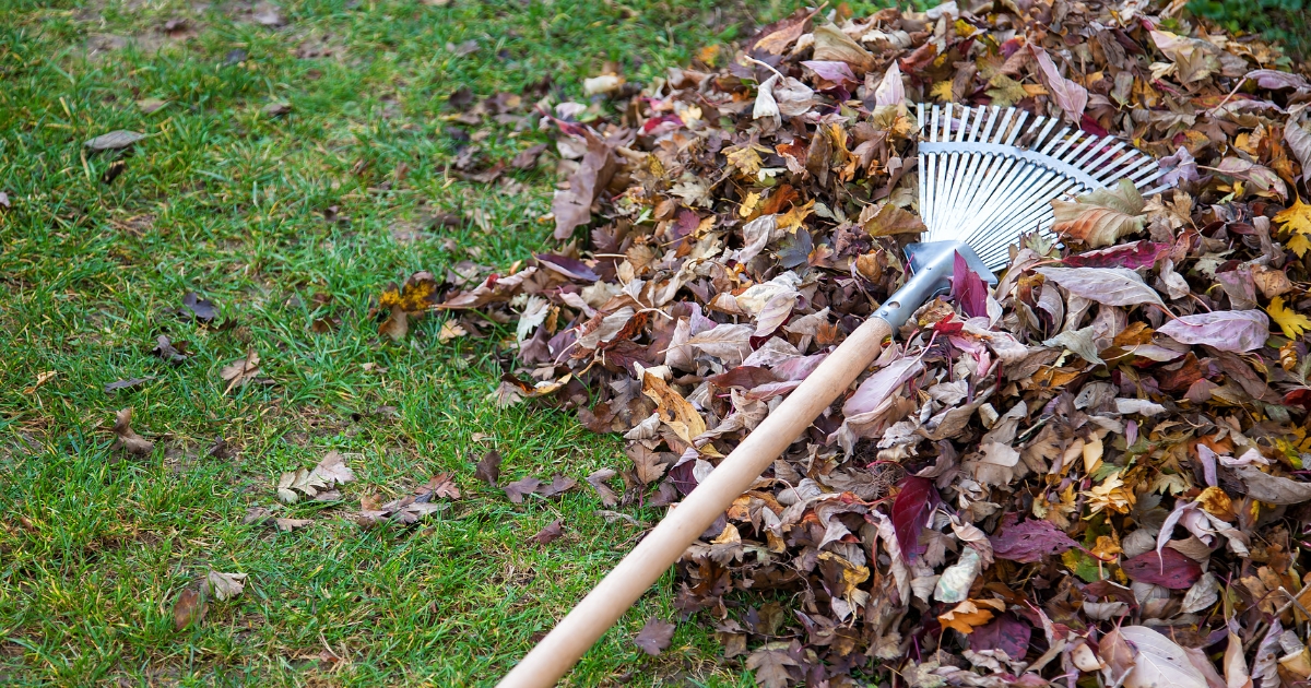 leaves2_website_properties_img_extension_1200x630 - 1 A rake set atop a pile of orange leaves on a green fall lawn.