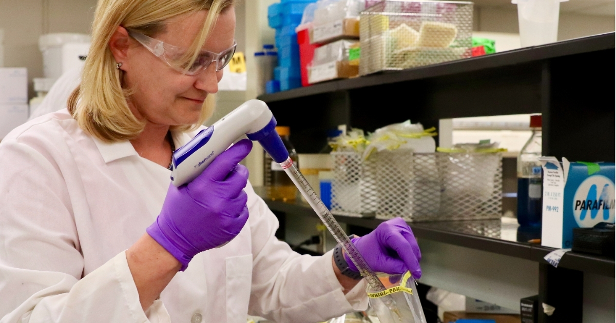 Kali Kniel takes a lab sample.