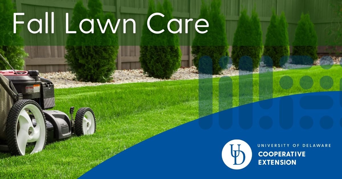 The featured image showing a lawnmower cutting grass along the edge near a row of trees The featured image showing a lawnmower cutting grass along the edge near a row of trees