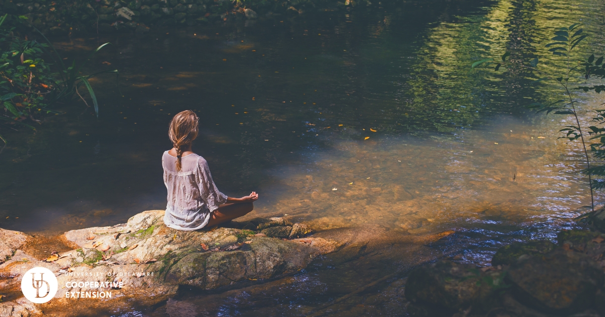 A woman sitting in nature near a pond