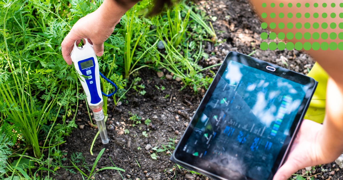 PH Soil Test A farmer testing the soil's PH