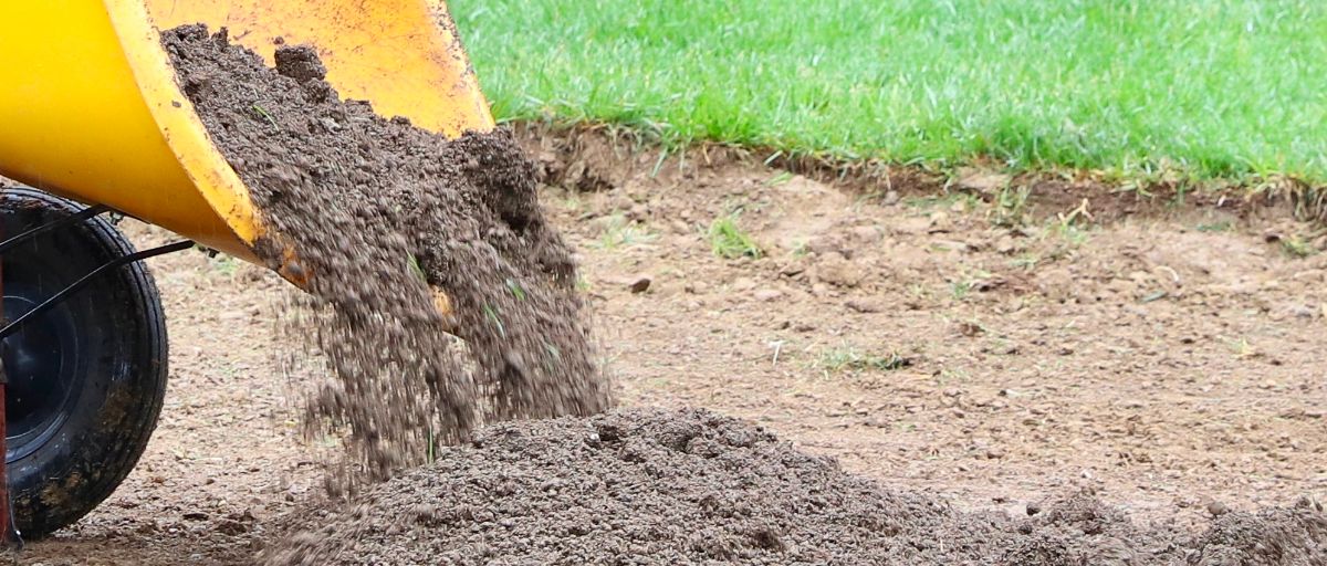 A paper from UD researchers highlights soil and water and was recognized in December for World Soil Day.