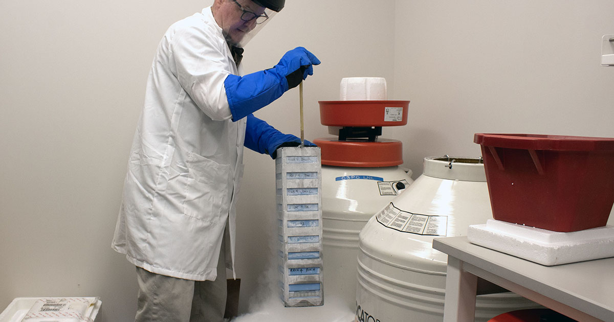 Mark Parcells Marek's disease Mark Parcells Marek's disease