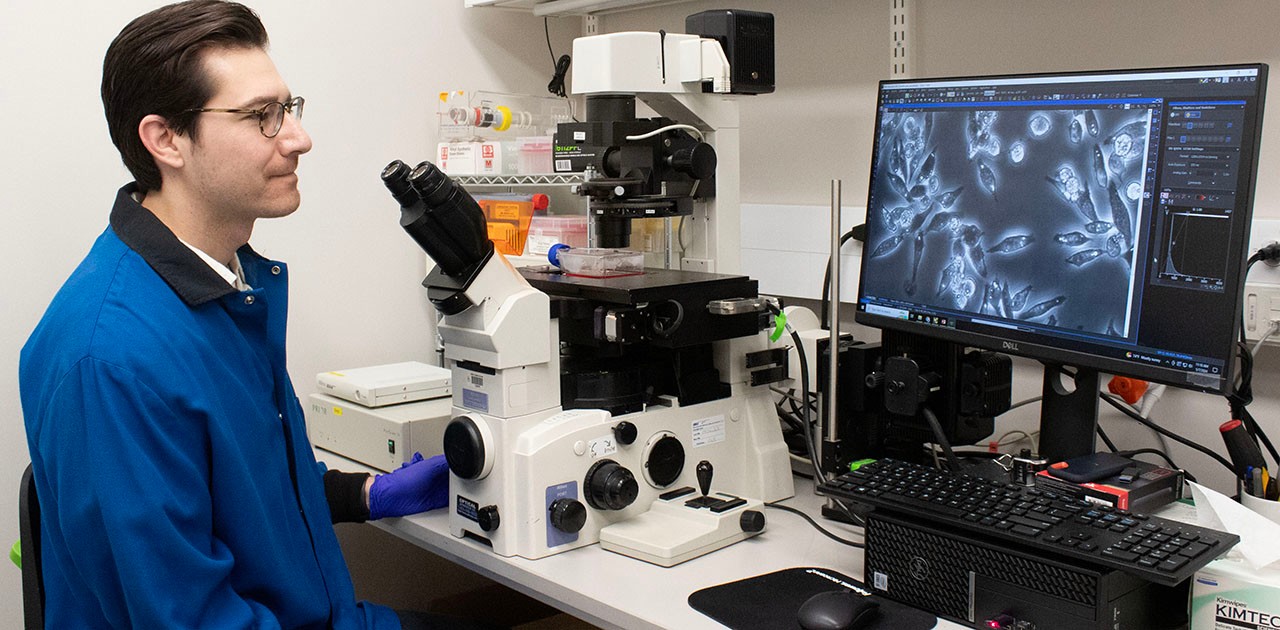 Joe Patria microscopy Joe Patria uses microscopy to observe chicken macrophage cells.