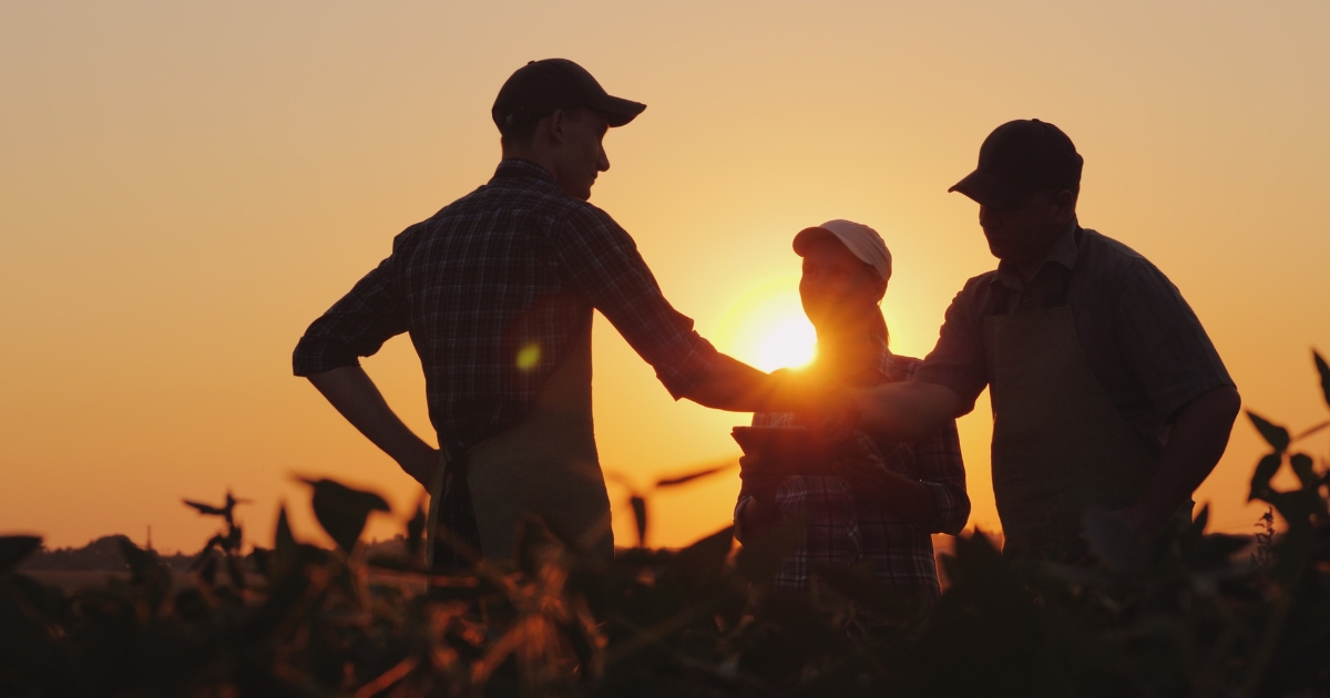 A photo of multiple generation farmers on the field at dusk having a discussion A photo of multiple generation farmers on the field at dusk having a discussion