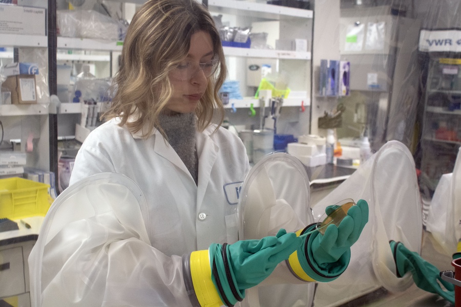 Mackenzie Sharp examines a sample in an air-tight chamber.
