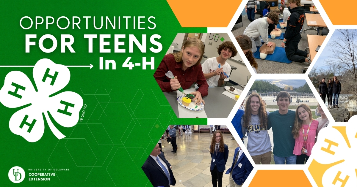 Collage of photos with teens doing various activities in 4-H
